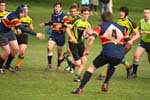 IMG_0799