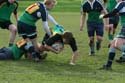 IMG_2950