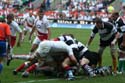IMG_4507_David_Paice_Richard_Wigglesworth_Justin_Harrison_Jerry_Collins