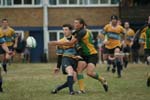 IMG_7194