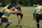 IMG_7219