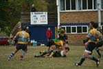 IMG_7420