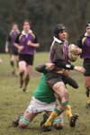 IMG_7934