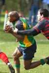 IMG_6990