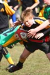 IMG_7819