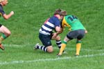 IMG_5247