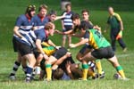 IMG_5261