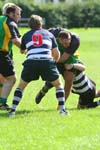 IMG_5388