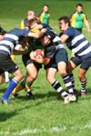 IMG_5649