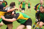 IMG_7607