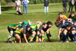 IMG_8088