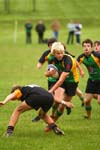 IMG_8661