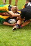 IMG_8695