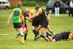 IMG_8908