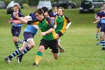 IMG_8439