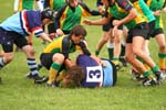 IMG_8486