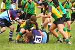 IMG_8487