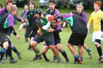 IMG_8951