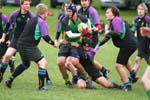 IMG_8953