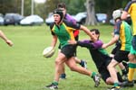 IMG_8960