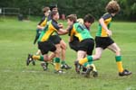 IMG_8997