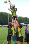 IMG_9041