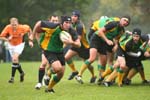 IMG_9449