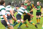 IMG_9804