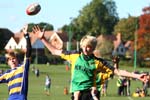 IMG_0379