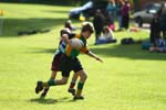 IMG_0516