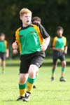 IMG_0586