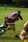 IMG_1380