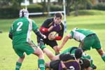 IMG_1481