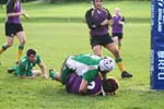IMG_1504