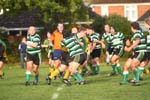 IMG_1784