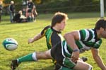 IMG_1802