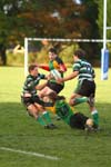 IMG_1820