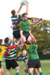 IMG_1910