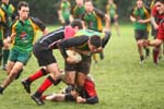 IMG_2022