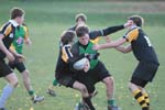 IMG_2604