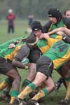 IMG_3350