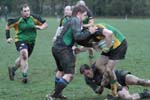IMG_3484