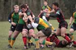 IMG_3816