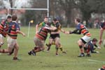 IMG_5975