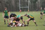 IMG_6054
