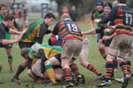 IMG_6195