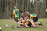 IMG_6336