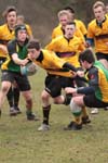 IMG_6424
