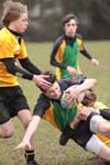IMG_6637