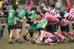 IMG_6656